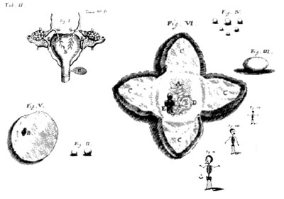 Theodor Kerckering, Drawing