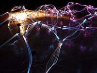 The Quasar Series 